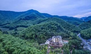 抖音奇妙夜浙江卫视 抖音奇妙夜浙江卫视